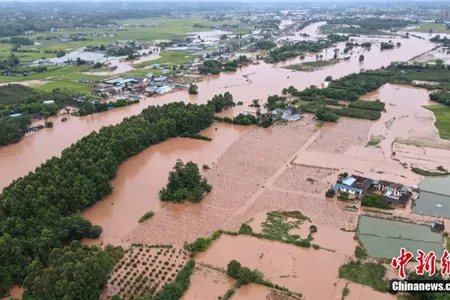 Trung Quốc: 219 người thiệt mạng và mất tích do mưa lũ